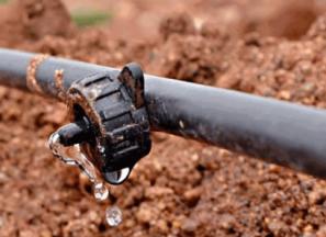 خرید انواع لوله پلی اتیلن قطره ای + قیمت