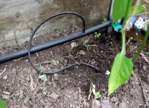 خرید و قیمت لوله پلی اتیلن آبیاری قطره ای